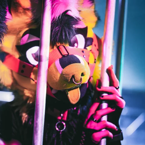 Photo of model @foxona