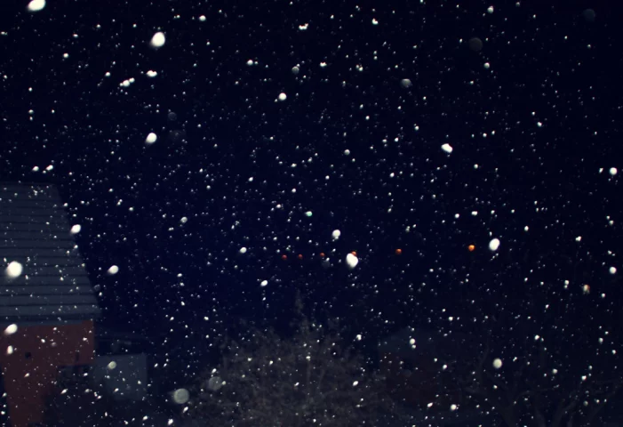 Photo of model @lostodg