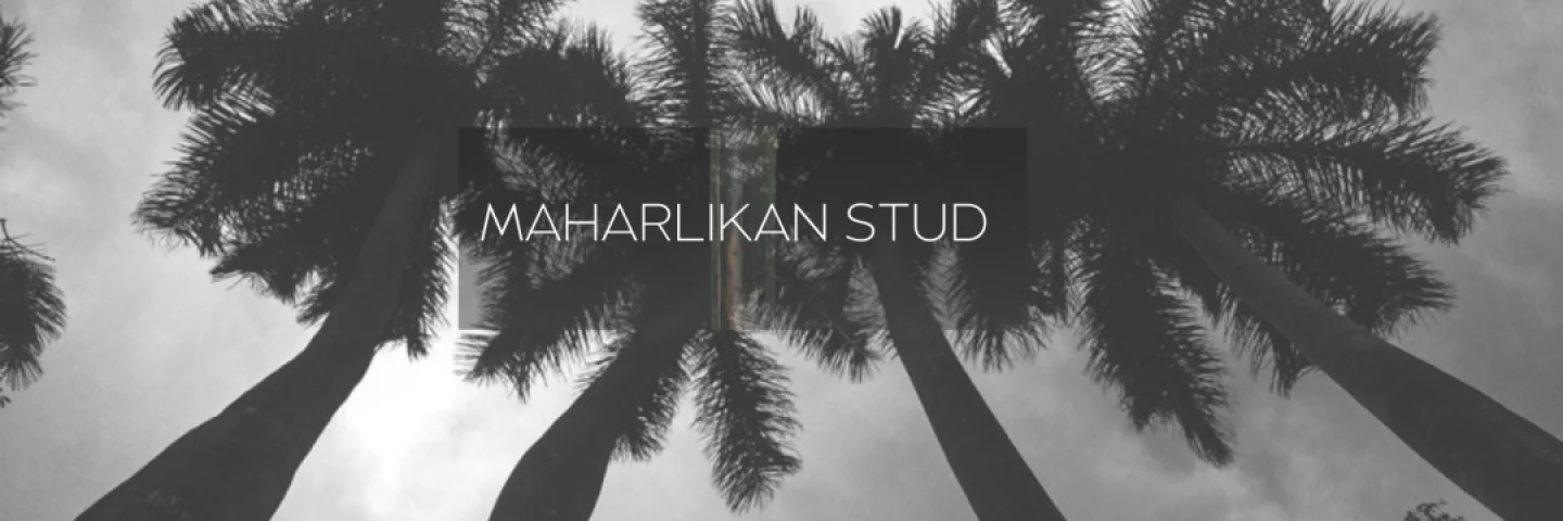 Photo of model @maharlikanstud