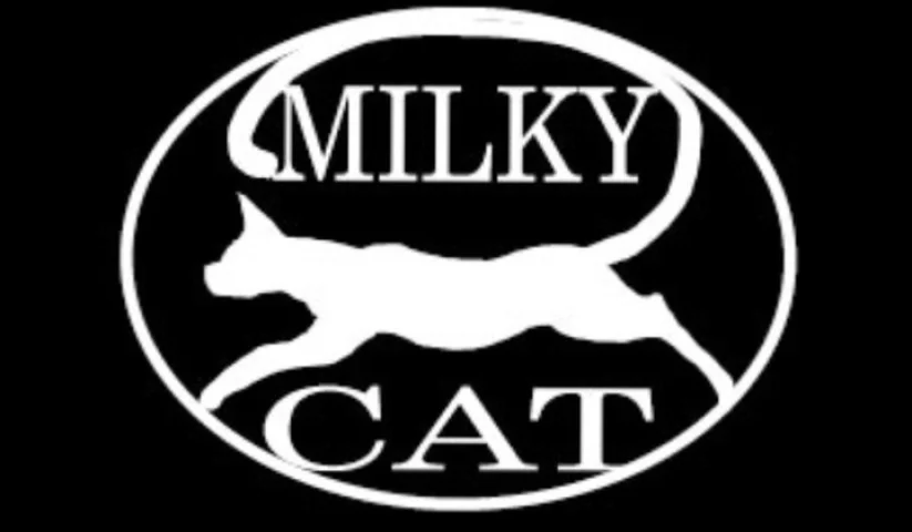 Photo of model @milkycatcom