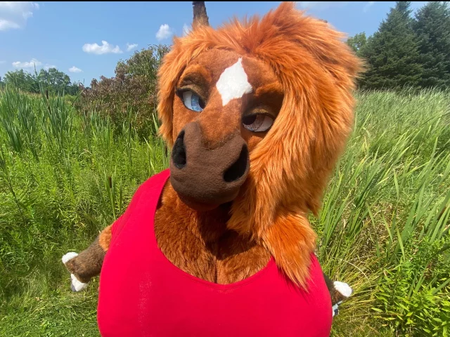 Photo of model @rain_horsie