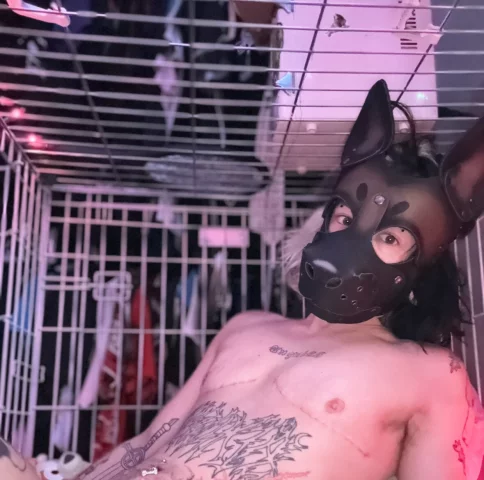 Photo of model @stupiddogg