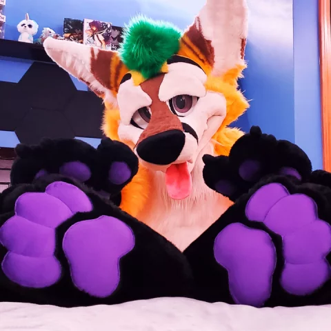 Photo of model @thepineapplefox