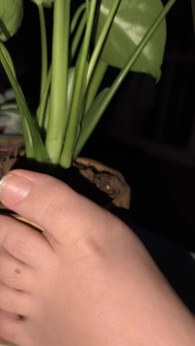 Photo of model @39bienbonitos