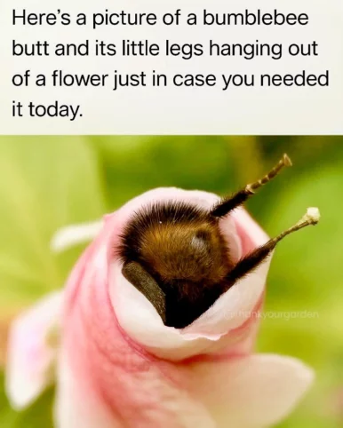 Photo of model @4ununu