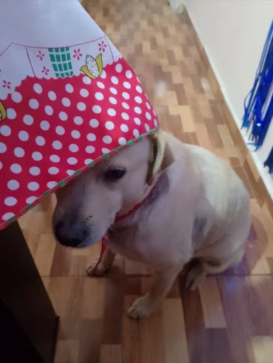 Photo of model @alex.soto86