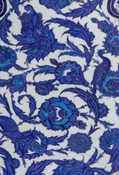 Photo of model @archiedaise