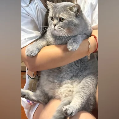 Photo of model @asilege