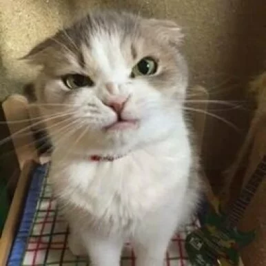 Photo of model @atlas6123