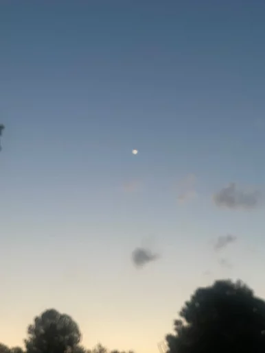 Photo of model @ayoafterdarkonx