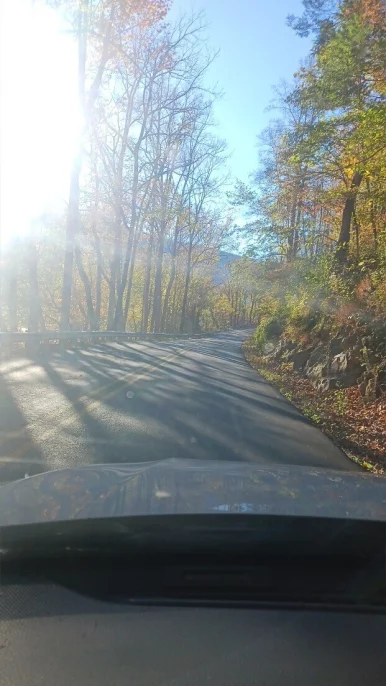 Photo of model @babbygirl0203