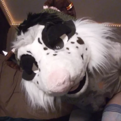 Photo of model @bajaopossum