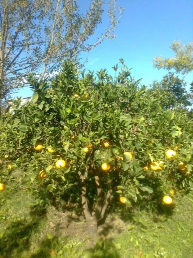 Photo of model @bilal_hoci32224