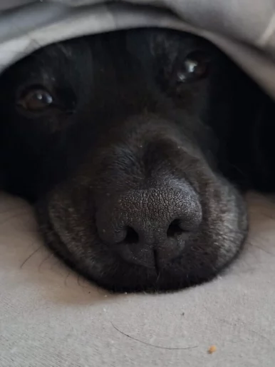 Photo of model @cammygaming23