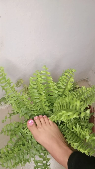 Photo of model @canelitatetacion12