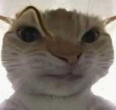 Photo of model @cherrybuni