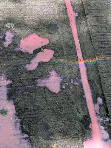 Photo of model @chesshy_luv