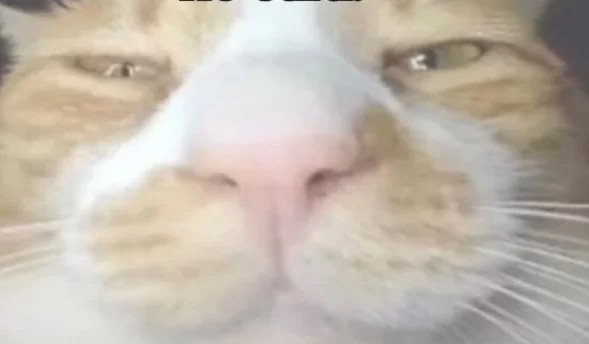 Photo of model @clemloves