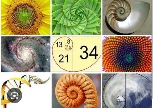 Photo of model @fibonacci69