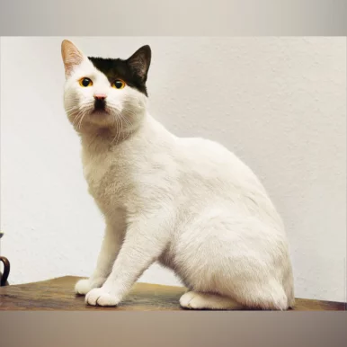 Photo of model @flip.the.cross