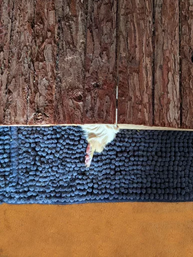 Photo of model @fluffything