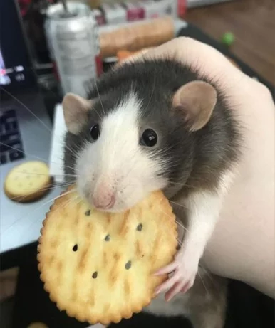 Photo of model @htrr999