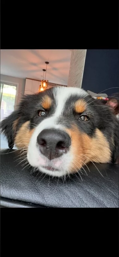 Photo of model @jayvy