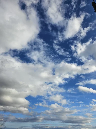 Photo of model @justagirl0