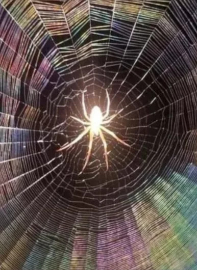 Photo of model @juyamame