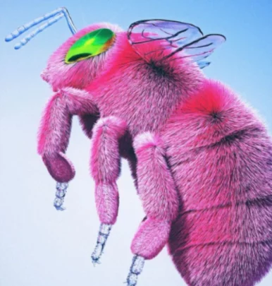 Photo of model @karionalangoni