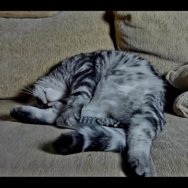 Photo of model @kingsmashwaffel