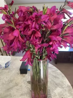 Photo of model @kittyscott2