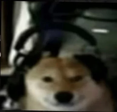 Photo of model @kura_ma