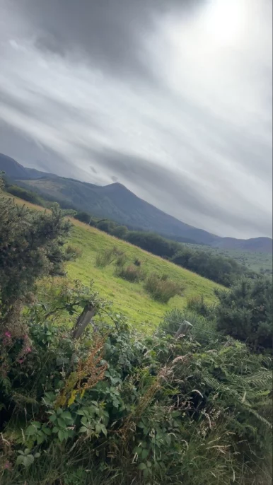 Photo of model @loganmcmil73370