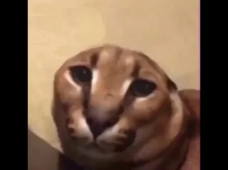 Photo of model @mr.flopp