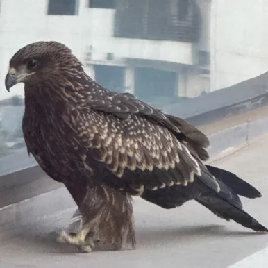 Photo of model @mrashel98848