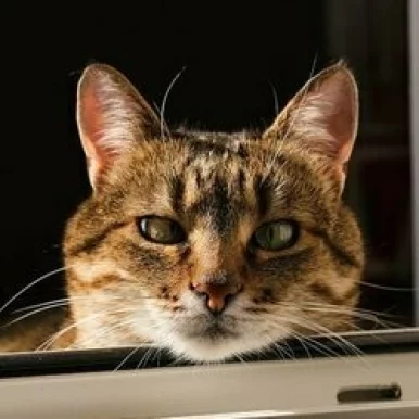 Photo of model @nu_a_sho