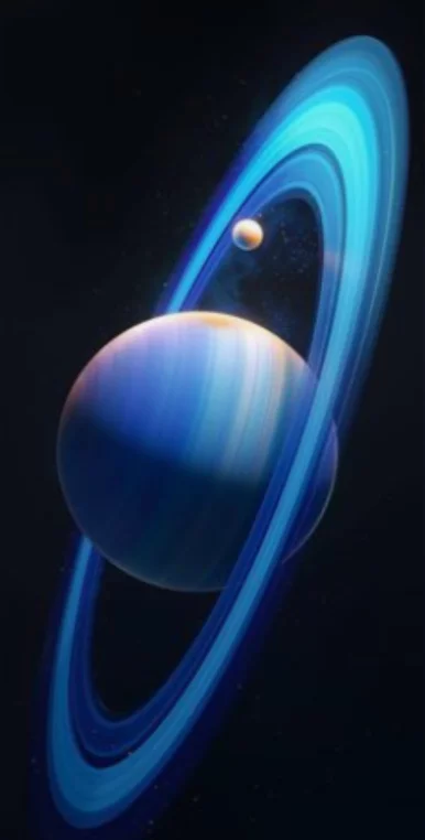 Photo of model @penguin_dance