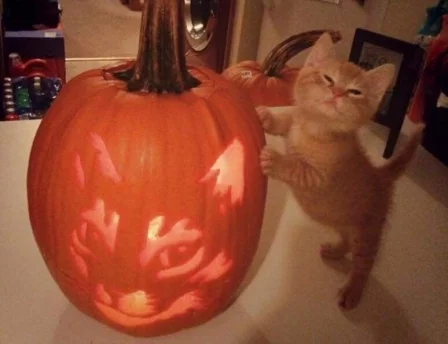 Photo of model @pumpk1ncr3am