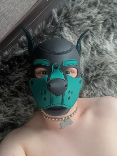 Photo of model @pup_loyd