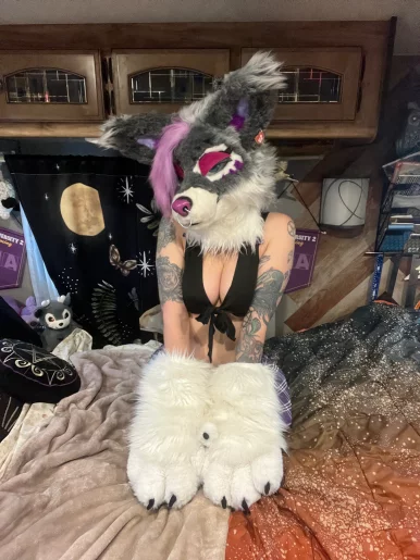 Photo of model @raynebowpaws