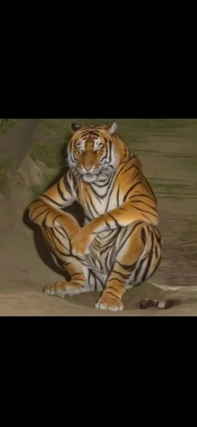 Photo of model @roccilayspipe