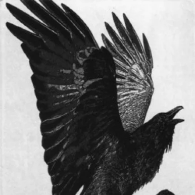 Photo of model @sadlovestory