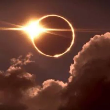 Photo of model @stevehaze