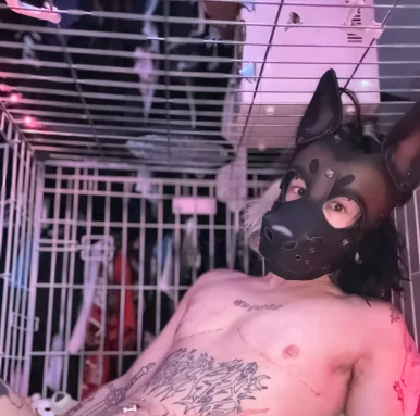 Photo of model @stupiddogg