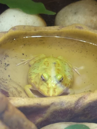 Photo of model @toruk_makto69