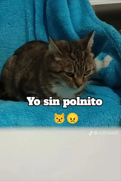 Photo of model @u529086306