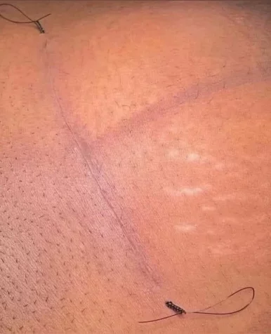 Photo of model @u529087784