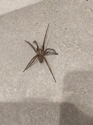 Photo of model @u529095524