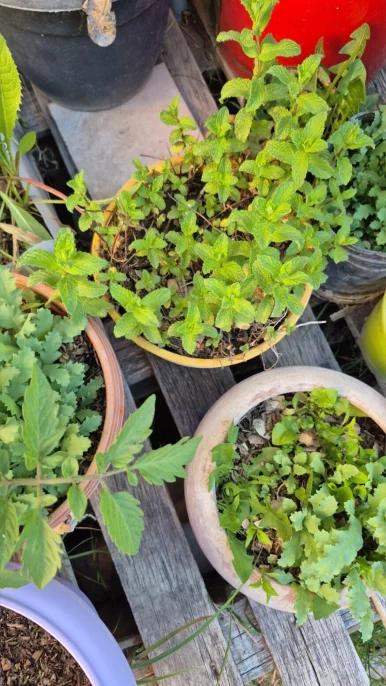 Photo of model @u529096952